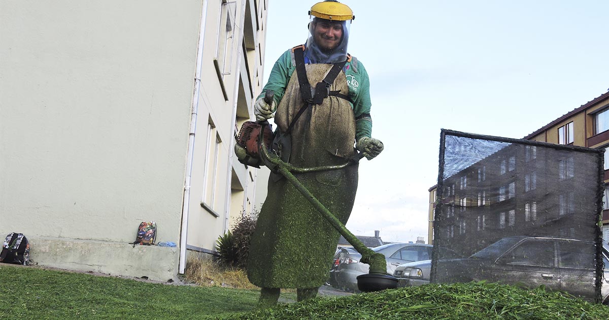 Servicio de corte de césped en Bogotá